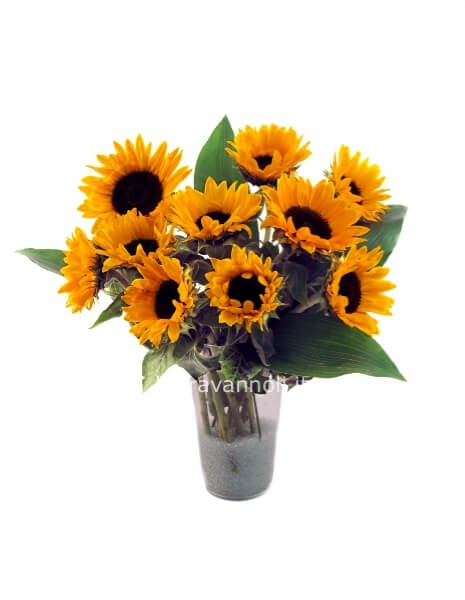 Bouquet di Girasoli