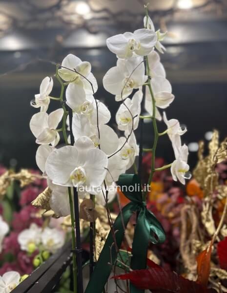 Orchidee omaggio per matrimonio